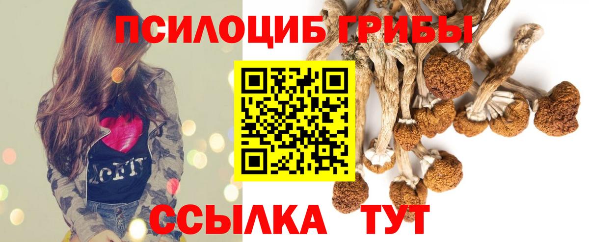 Псилоцибиновые грибы Psilocybine cubensis  цены наркотик  Ревда  Вход с VPN 