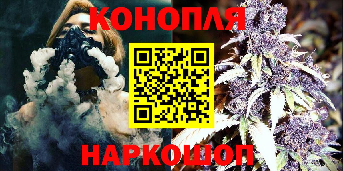 Бошки Шишки план Ревда